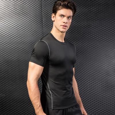 Wholesale New Design Workout Clothing Polyester Spandex Muscle Gym Active Wear Muscle Fit Tee Men Fitness Dry Fit T Shi