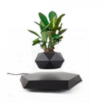 Magnetic Levitation Bonsai HCNT Elegant black Hexagon Floating Plant Holder Creative Christmas Gift Levitating Plant