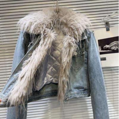 Ladies Winter Fur Collar Denim Jacket Long Sleeve Casual Quilted Liner Denim Short Coat Women's Blue Lapel Jean Jacket